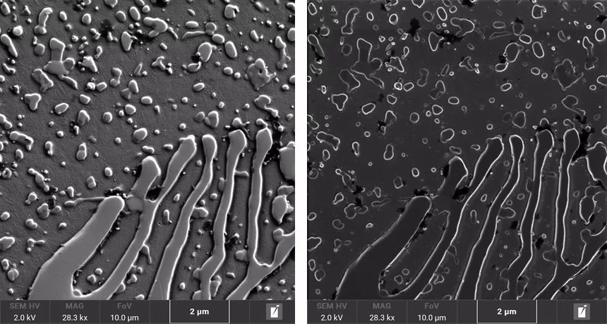 巫山巫山蔡司巫山扫描电镜