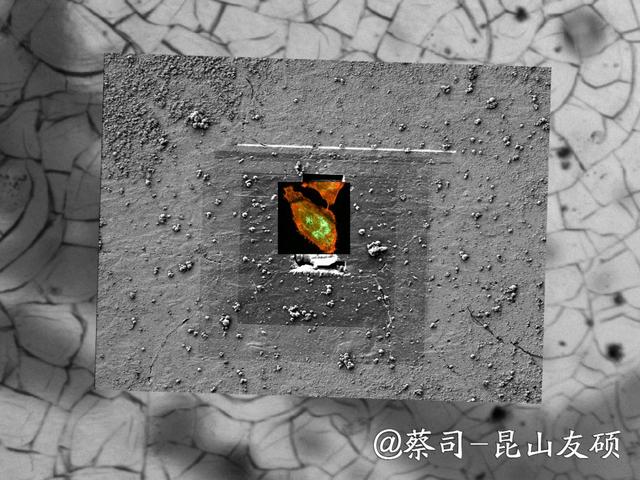 巫山巫山蔡司巫山扫描电镜