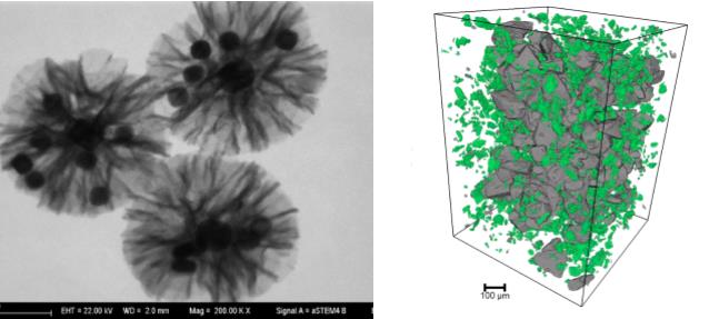 巫山巫山蔡司巫山扫描电镜