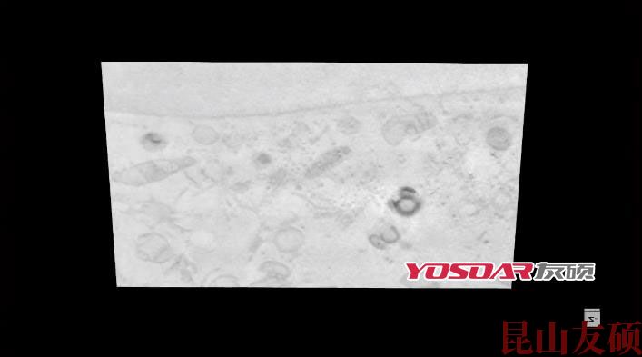 FIB巫山扫描电镜