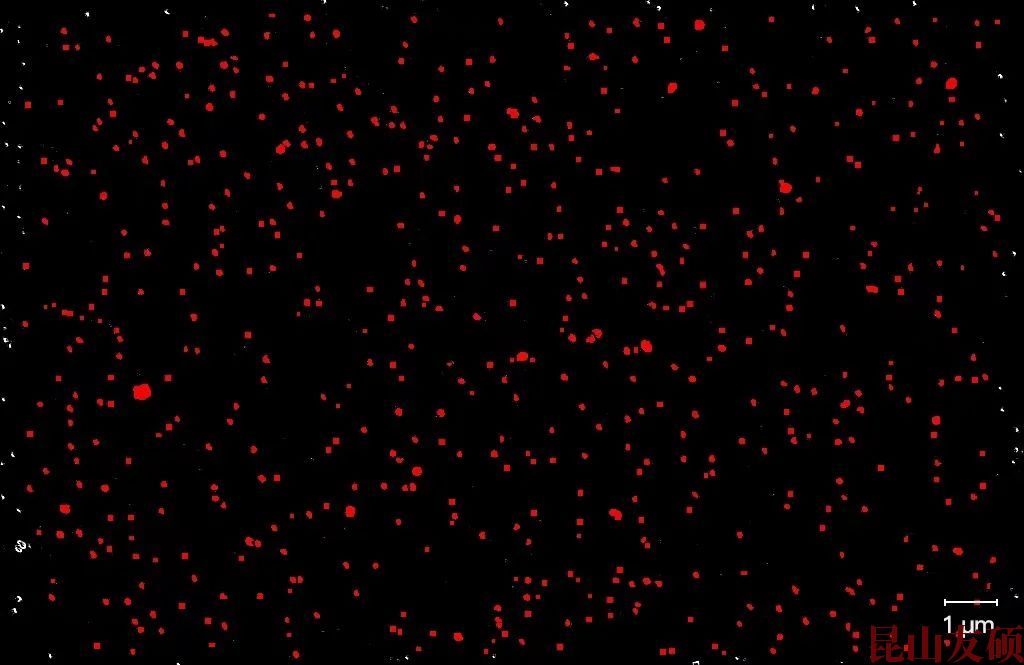 巫山巫山蔡司巫山扫描电镜