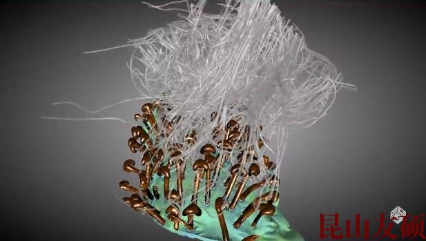 巫山蔡司巫山X射线显微镜